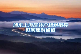 浦东上海居转户规划指导好润便利通道