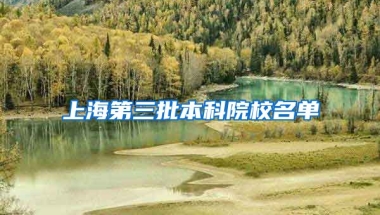 上海第三批本科院校名单