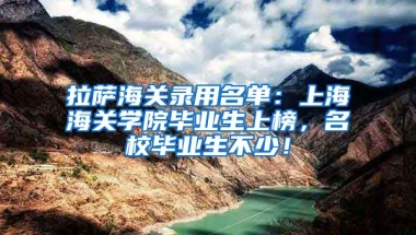 拉萨海关录用名单：上海海关学院毕业生上榜，名校毕业生不少！