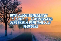 数字人民币应用场景再“上新”！上海首次成功发放数字人民币企业人才补贴奖励