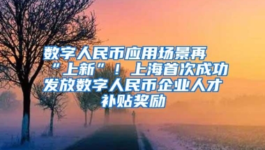 数字人民币应用场景再“上新”！上海首次成功发放数字人民币企业人才补贴奖励