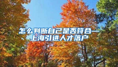 怎么判断自己是否符合—上海引进人才落户