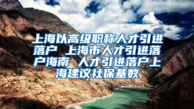 上海以高级职称人才引进落户 上海市人才引进落户海南 人才引进落户上海建议社保基数