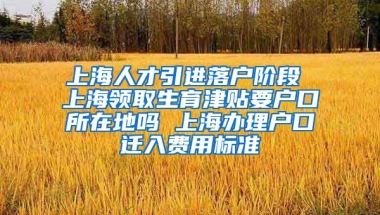 上海人才引进落户阶段 上海领取生育津贴要户口所在地吗 上海办理户口迁入费用标准