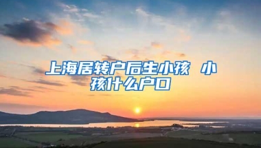 上海居转户后生小孩 小孩什么户口