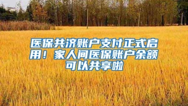 医保共济账户支付正式启用！家人间医保账户余额可以共享啦