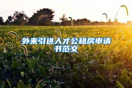 外来引进人才公租房申请书范文