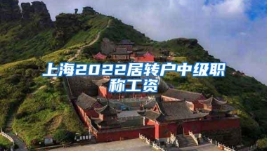 上海2022居转户中级职称工资