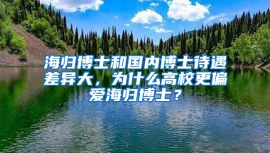 海归博士和国内博士待遇差异大，为什么高校更偏爱海归博士？