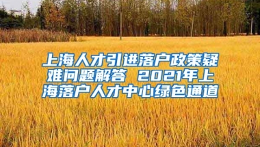 上海人才引进落户政策疑难问题解答 2021年上海落户人才中心绿色通道