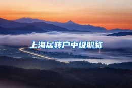 上海居转户中级职称