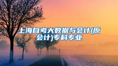 上海自考大数据与会计(原会计)专科专业