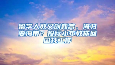 留学人数又创新高、海归变海带？投行小布教你回国找工作