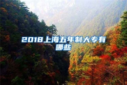 2018上海五年制大专有哪些