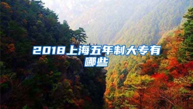 2018上海五年制大专有哪些