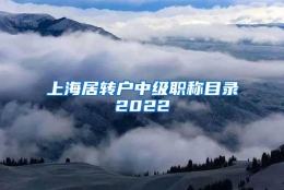 上海居转户中级职称目录2022