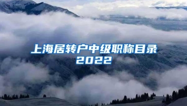 上海居转户中级职称目录2022