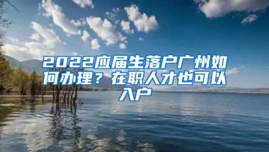 2022应届生落户广州如何办理？在职人才也可以入户