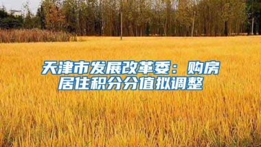 天津市发展改革委：购房居住积分分值拟调整