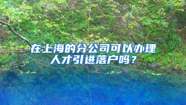 在上海的分公司可以办理人才引进落户吗？