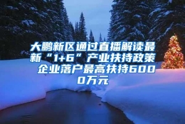 大鹏新区通过直播解读最新“1+6”产业扶持政策 企业落户最高扶持6000万元