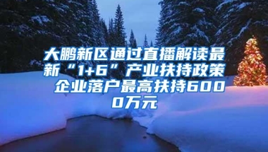 大鹏新区通过直播解读最新“1+6”产业扶持政策 企业落户最高扶持6000万元