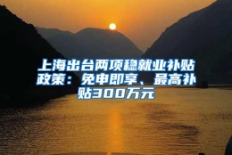 上海出台两项稳就业补贴政策：免申即享、最高补贴300万元