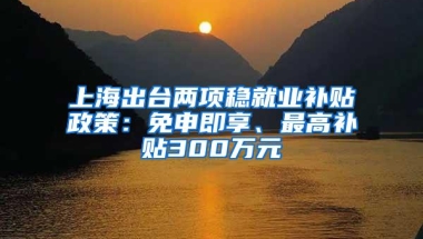 上海出台两项稳就业补贴政策：免申即享、最高补贴300万元