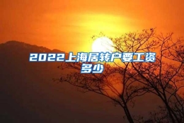 2022上海居转户要工资多少