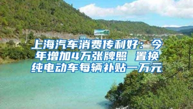 上海汽车消费传利好：今年增加4万张牌照 置换纯电动车每辆补贴一万元