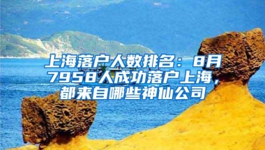 上海落户人数排名：8月7958人成功落户上海，都来自哪些神仙公司