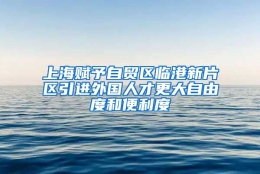 上海赋予自贸区临港新片区引进外国人才更大自由度和便利度