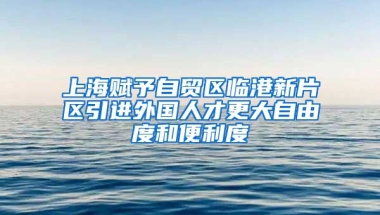 上海赋予自贸区临港新片区引进外国人才更大自由度和便利度