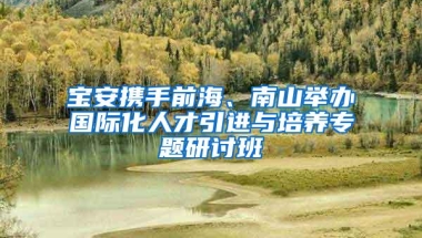 宝安携手前海、南山举办国际化人才引进与培养专题研讨班