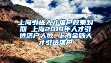 上海引进人才落户政策到期 上海2019年人才引进落户人数 上海金脉人才引进落户