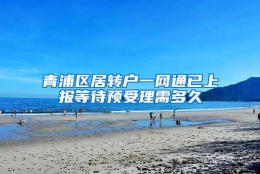 青浦区居转户一网通已上报等待预受理需多久