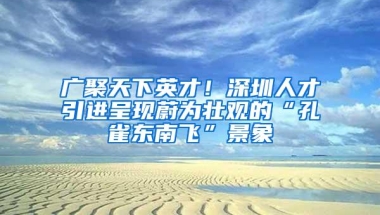 广聚天下英才！深圳人才引进呈现蔚为壮观的“孔雀东南飞”景象