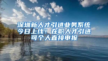 深圳新人才引进业务系统今日上线！在职人才引进可个人直接申报