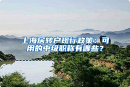 上海居转户现行政策：可用的中级职称有哪些？