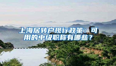 上海居转户现行政策：可用的中级职称有哪些？