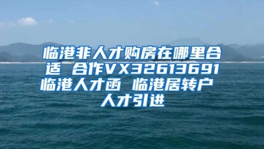 临港非人才购房在哪里合适 合作VX32613691临港人才函 临港居转户 人才引进