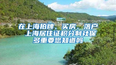 在上海拍牌、买房、落户 上海居住证积分制社保多重要您知道吗