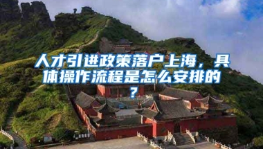 人才引进政策落户上海，具体操作流程是怎么安排的？