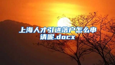 上海人才引进落户怎么申请呢.docx