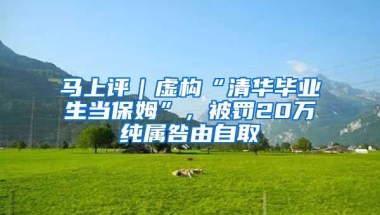 马上评｜虚构“清华毕业生当保姆”，被罚20万纯属咎由自取