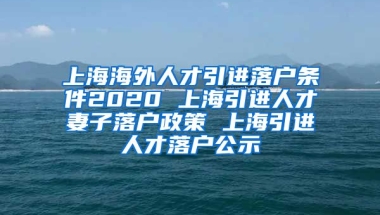 上海海外人才引进落户条件2020 上海引进人才妻子落户政策 上海引进人才落户公示