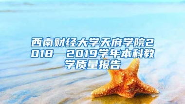 西南财经大学天府学院2018—2019学年本科教学质量报告