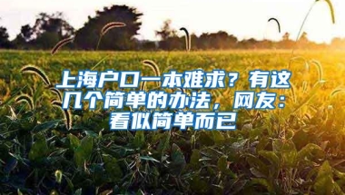 上海户口一本难求？有这几个简单的办法，网友：看似简单而已