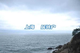 上海  居转户