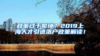 政策过于繁琐？2019上海人才引进落户政策解读！